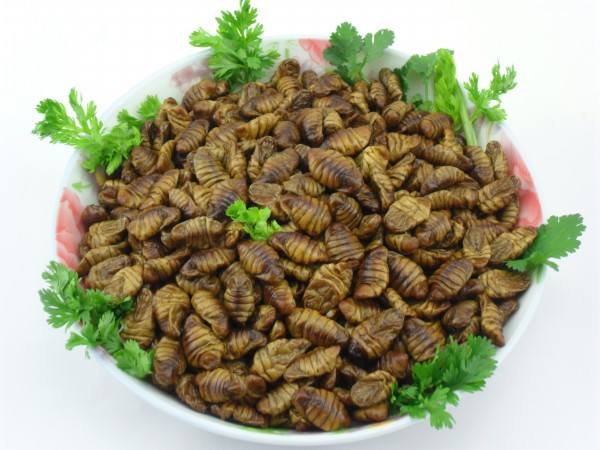 某宝上的那些奇葩商品,某宝买到恶劣产品怎么办