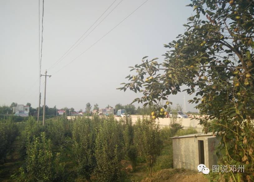 邓州市白牛乡故事桥名人,邓州白牛镇故事桥村