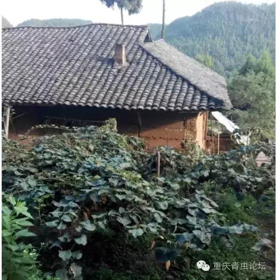 为了大山里的孩子上学,为了山里的孩子读书