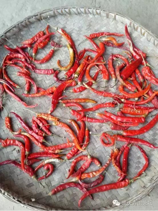 为了大山里的孩子上学,为了山里的孩子读书