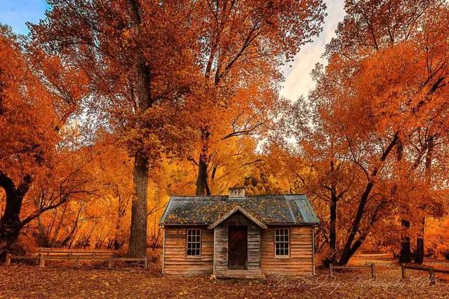 魔戒多少钱一套啊,一套魔戒多少钱