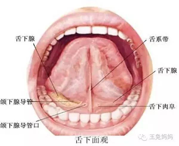 宝宝舌系带短吃不到奶可以剪吗,宝宝吃不到左边奶怎么回事