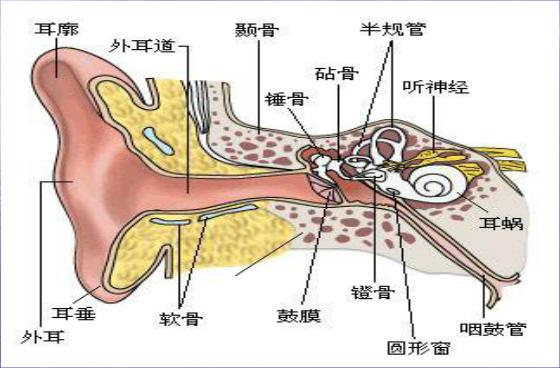 如何治疗分泌性中耳炎,分泌性中耳炎能自愈吗