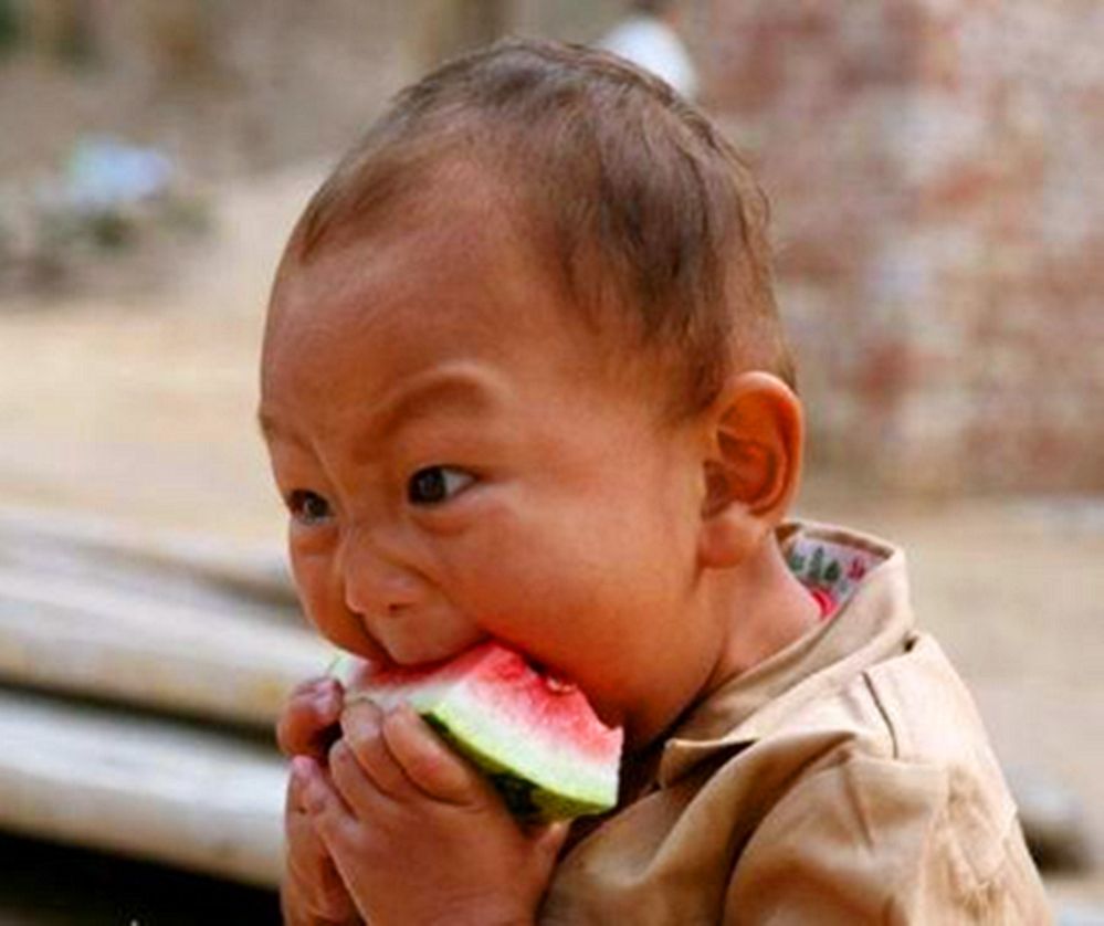 朋友圈动物照片配文,动物搞笑短视频无水印