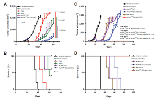 靶向治疗肿瘤效果,靶向细胞修复