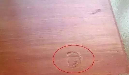 木头家具上有油漆怎么办,木头在做家具刷漆之前如何驱虫