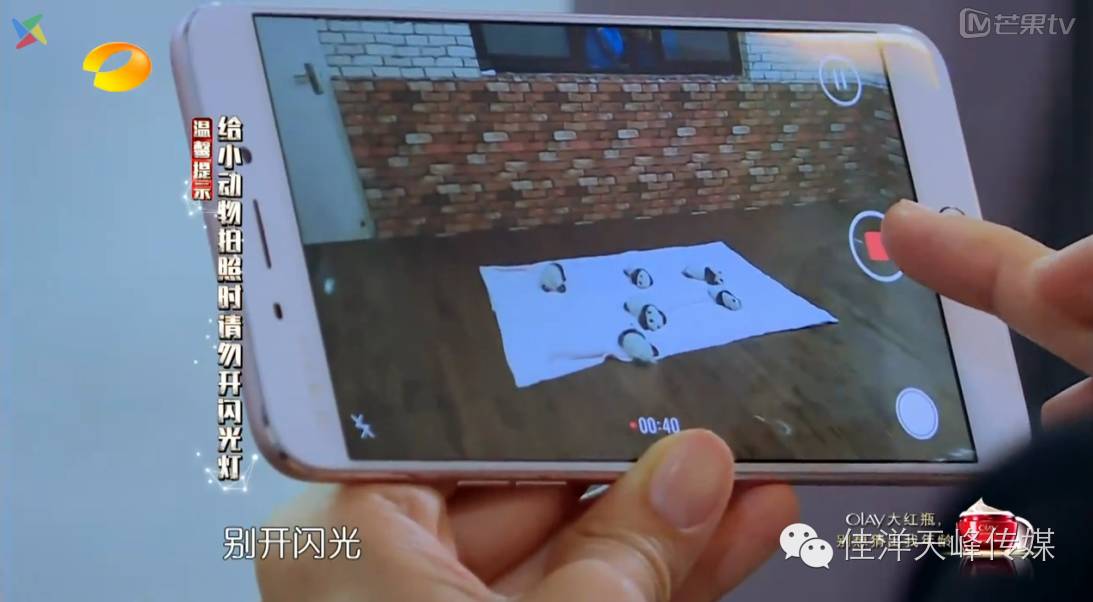 奥运会结束了，各大综艺抢人气冠军们哪家强？