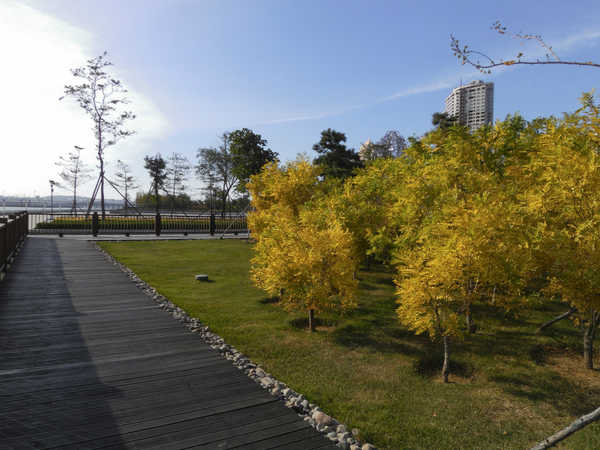 大连金州滨海公园,大连夏家河子滨海公园