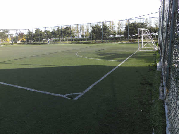 大连金州滨海公园,大连夏家河子滨海公园