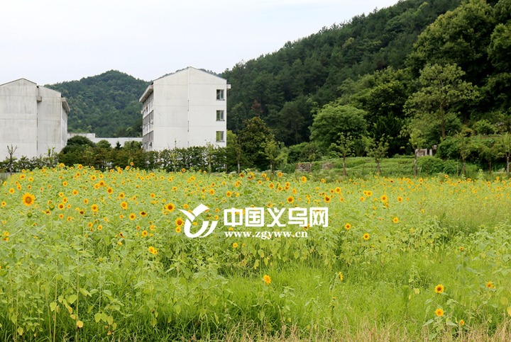 平地营水上乐园,坪地园水上乐园