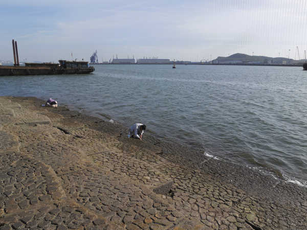 大连金州滨海公园,大连夏家河子滨海公园