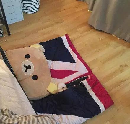 博美嘴巴边缘出血,超级可爱萌博美