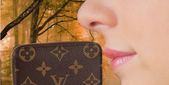 怎么鉴别LV包包真假,如何鉴别lv包包的真假