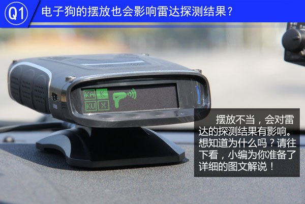 一张图看懂狗的智力,几张图看完狗的一生