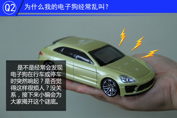 一张图看懂狗的智力,几张图看完狗的一生