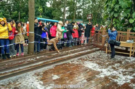 关于快递停运的最新通知,再过2天快递就停运了