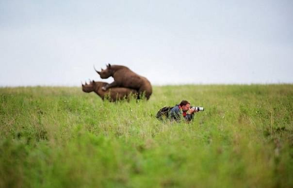 关于快递停运的最新通知,再过2天快递就停运了
