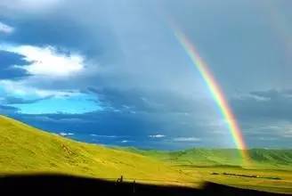 挺同志撑曼乔，足球让世界充满爱