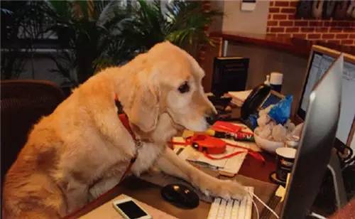 黑眼圈的形成原因中医,黑眼圈是怎么形成的又如何治疗