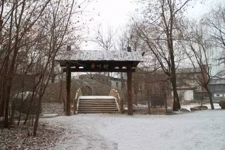 冻成狗怎么取暖,冻成狗怎么降温