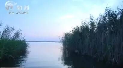 武进区湿地公园规划,武进滆湖湿地公园