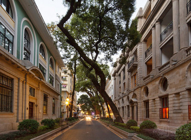 最好的猫屎咖啡,精品猫屎咖啡豆