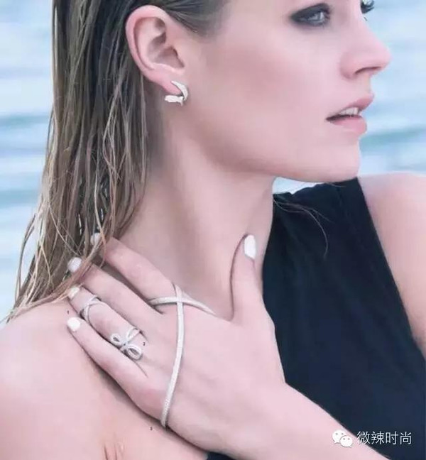 娉曞浗apm棣栭グ鍝佺墝,娉曞浗鏂拌吹