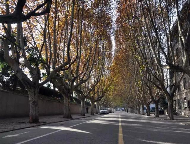 西安交通大学：交大耀长安