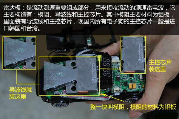 一张图看懂狗的智力,几张图看完狗的一生