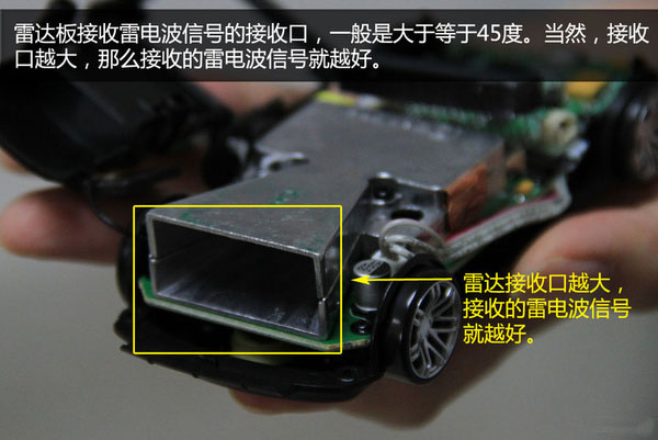 一张图看懂狗的智力,几张图看完狗的一生