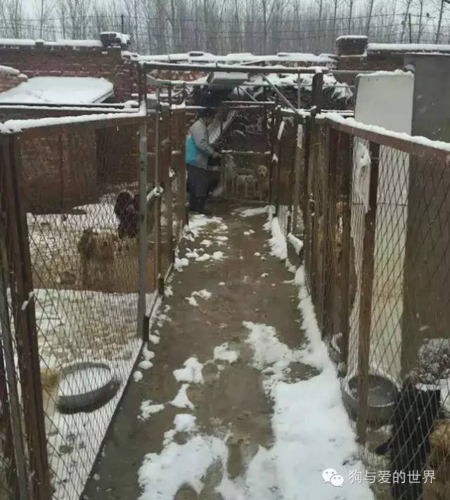 他们是最可爱的人作文700字 (他们是最可爱的人英语)