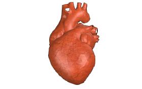 今天处暑,今天处暑节气