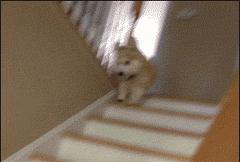 孩子将来能长多高有公式吗,宝宝将来的身高