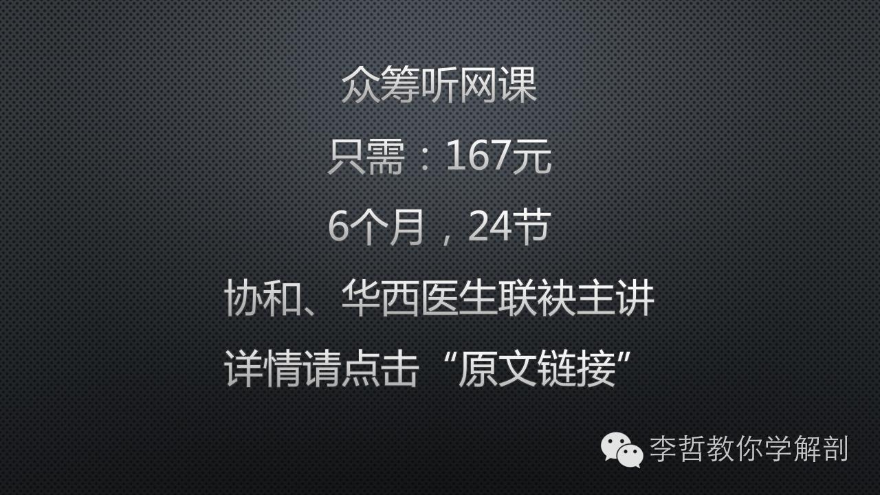 腰痛腹横肌痛,腹壁肌疼痛症状