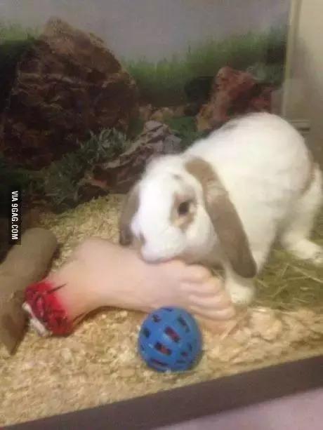 是时候让妹子们看看足球冷静一下了