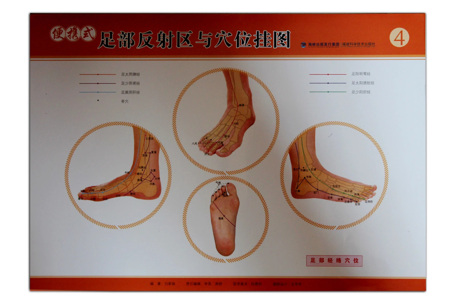 推拿好帮手，便携式足部穴位图