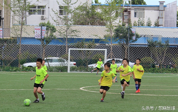 东晓足球,临沂绿荫足球俱乐部电话