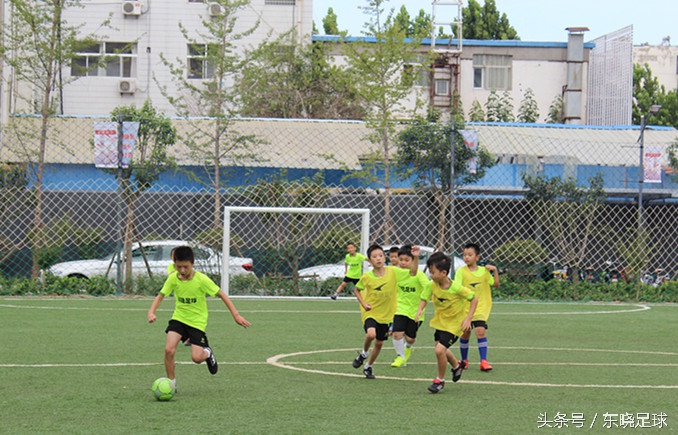 东晓足球,临沂绿荫足球俱乐部电话