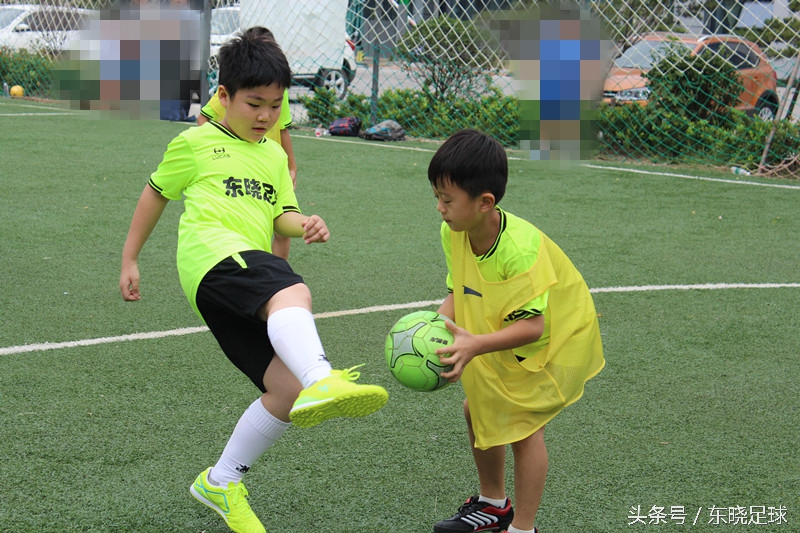 东晓足球,临沂绿荫足球俱乐部电话