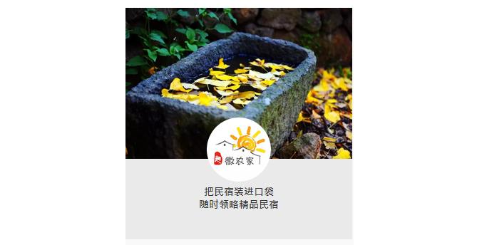 旅行中不期而遇的美好瞬间,旅行遇见一路风景山美水美