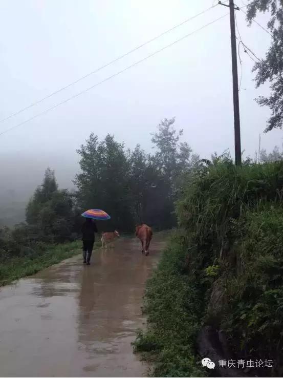为了大山里的孩子上学,为了山里的孩子读书