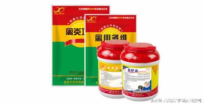 鸡传染病鼻炎用什么药冶,鸡鼻炎流感治疗