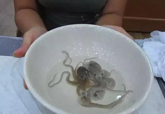 出差要关注的东西,国外黑暗料理