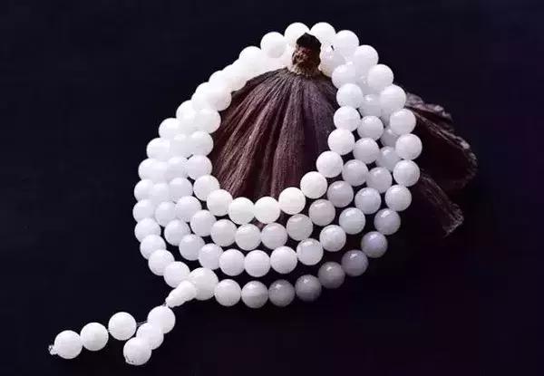 砗磲在风水有什么讲究,砗磲的种类及优缺点