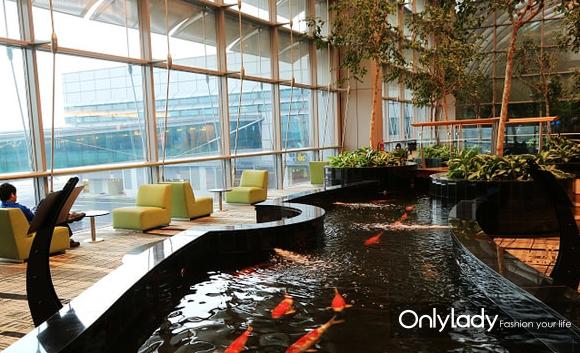 新加坡春节必吃十种美食,去新加坡必吃的十种美食