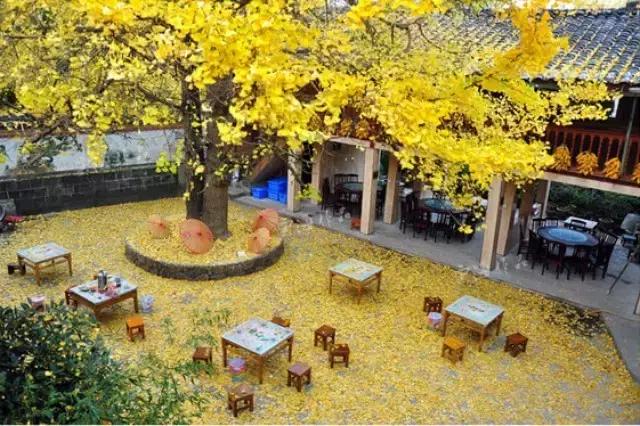 旅行中不期而遇的美好瞬间,旅行遇见一路风景山美水美