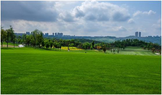 从一家房企的革命之路看它的理想情怀