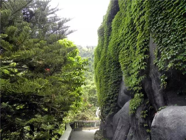 走进中国茶都安溪，看看是怎么样的一座城市