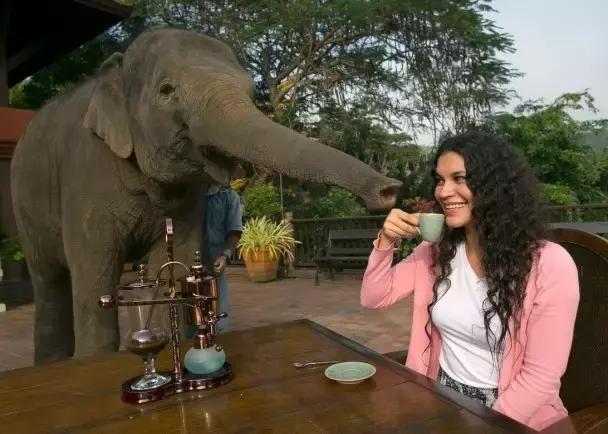 出差要关注的东西,国外黑暗料理