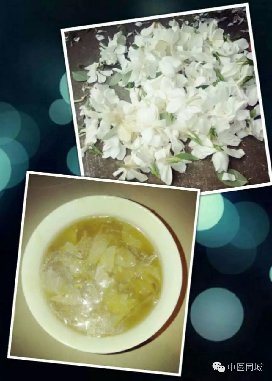 发现深圳的中草药|一生“栀”爱，一往而深